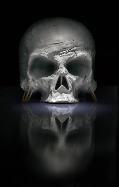 istock Vertical illustration of a human skull on a black background 1440542748