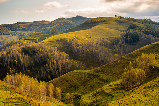 A beautiful landscape with the Apuseni Mountains in Transylvania, Romania
