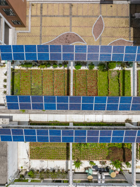 istock Solar panels on the school roof. 1440543251