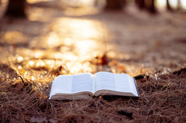 istock Selective focus shot of an open book on the ground 1440543643