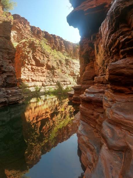 istock Vertical shot of hills reflected in the water 1440544413