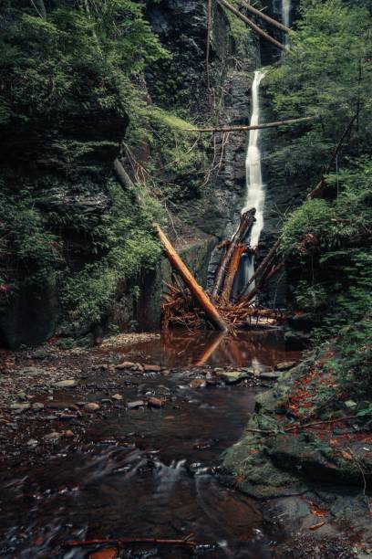 istock Landscape of cascading Silverthread Falls Waterfall in the park with trees, vertical shot 1440545119