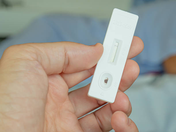 istock Closeup shot of a hand holding a negative antigen test 1440547856