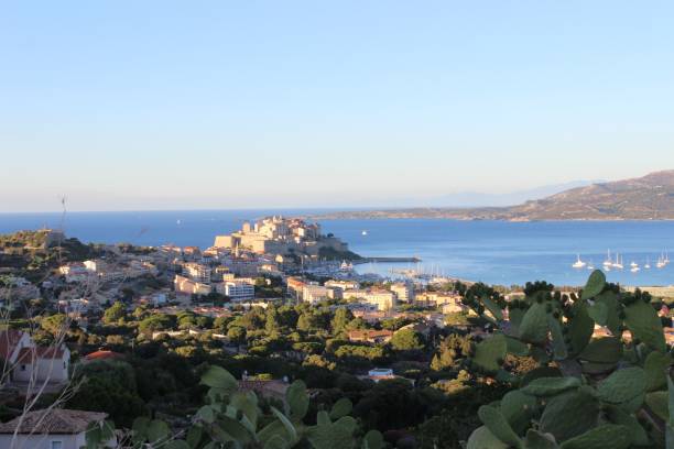 istock Bird's eye view of the Calvi commune 1440549263