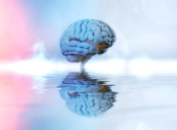 istock 3d rendering of a brain reflecting on a blurry water surface 1440549283