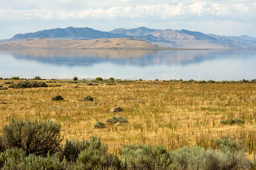 A shot of the Antelope Island scenic nature near Salt Lake City, Utah