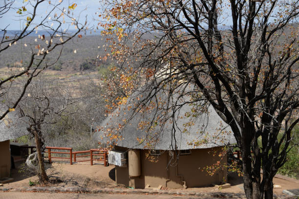 istock Landscape with bungalows in Kruger National Park 1440550767