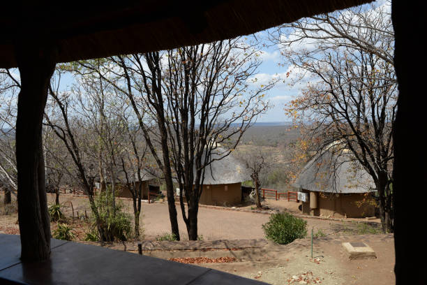 istock Landscape with bungalows in Kruger National Park 1440550769