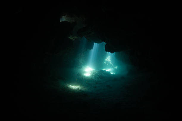 istock Beams of Sunlight in Underwater Cavern 1440551052