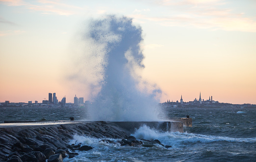Stormy waves crushing with big splash on breakwater on the sea with the distant silhouette of the sunset colored city-line of the Tallinn, consisting