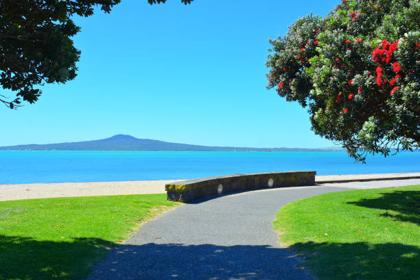 istock St Heliers Bay beach with Rangitoto Island in background 1440557322