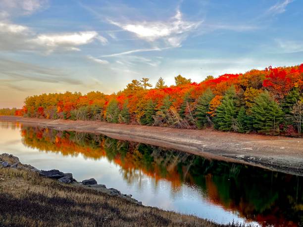 istock Peak foliage by the pond 1440557895