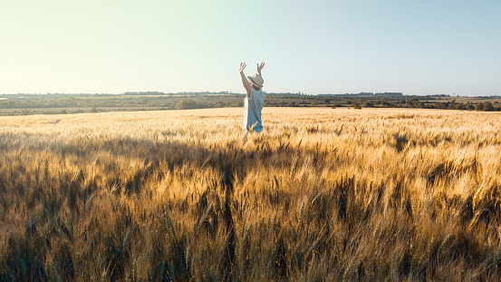 A man enjoy sunset in a field of wheat, joyfull expression of life with a nice landscape background.