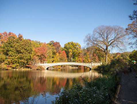 Central Park, New York City, USA at the Lake in autumn season.