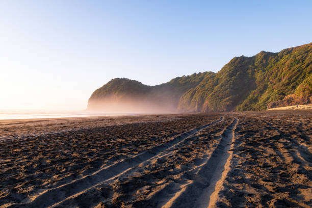 istock Tire tracks at North Piha beach 1440558941