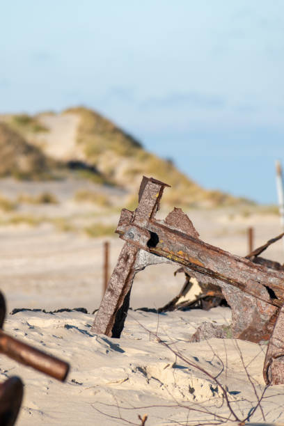 istock Selective focus shot of a shipwreck on a sandy beach in Norderney, Germany 1440559178