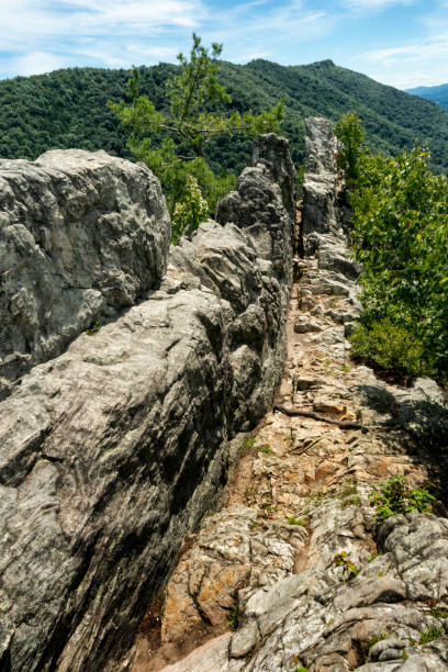 istock Summit fins at Seneca Rocks, WV 1440560101