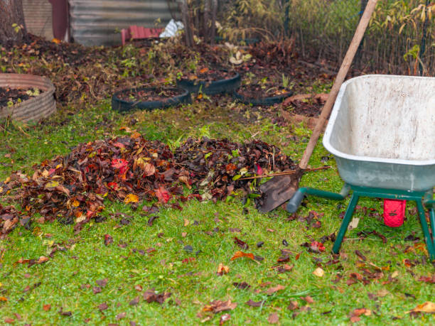 istock spade and garden trolley 1440562341