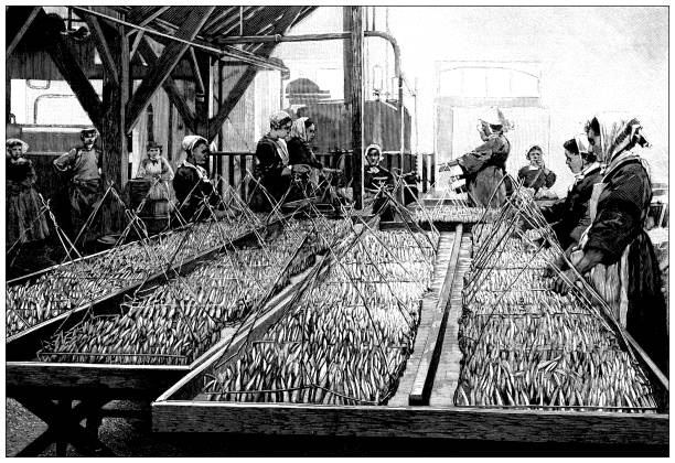 230+ Drawing Of The Woman Fishing Stock Illustrations, Royalty