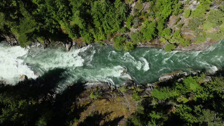 Aerial View of Boreal Nature Forest and River in Summer