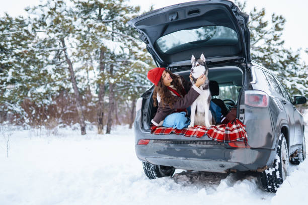 mujer joven y lindo perro husky disfrutando al aire libre en el coche. - people dog winter cute fotografías e imágenes de stock