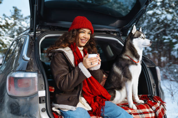Young woman and cute husky dog enjoying outdoors into the car. stock photo