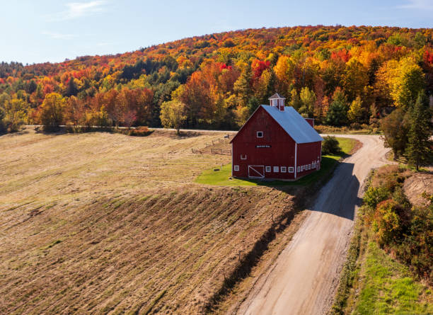 istock Grandview Farm barn with fall colors in Vermont 1440568596