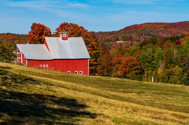 istock Grandview Farm barn with fall colors in Vermont 1440568675