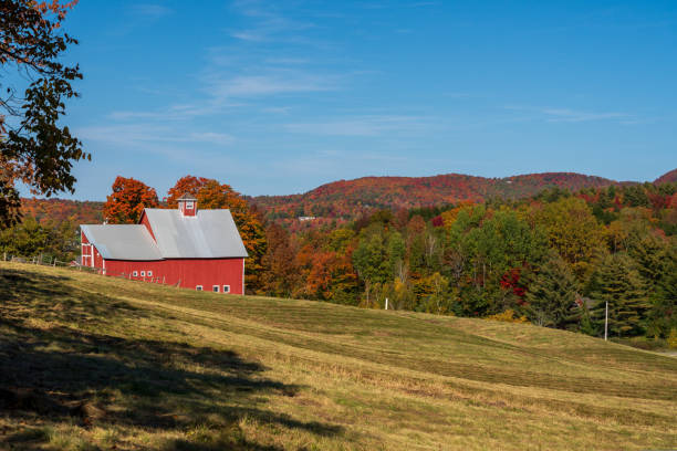 istock Grandview Farm barn with fall colors in Vermont 1440568711