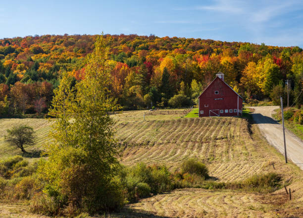istock Grandview Farm barn with fall colors in Vermont 1440568865
