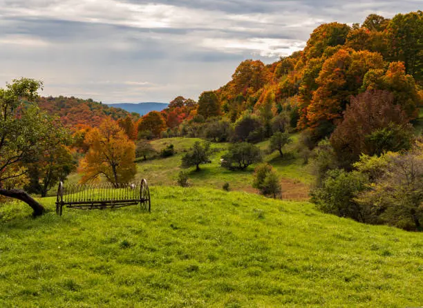 Photo of Horse drawn rake by fall colors in Vermont