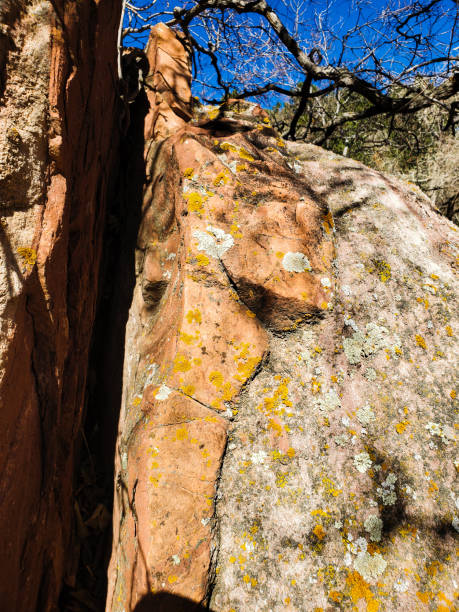 istock Vertical uplifted  interface between a sandstone layer and a breccia conglomerate strata. 1440571766