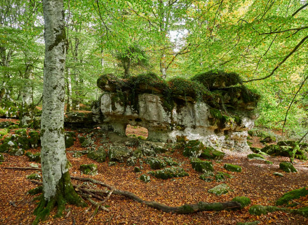 istock Sierra Urbasa in autumn, Navarra 1440571821