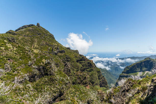 istock Scenic green mountain in Madeira 1440571824
