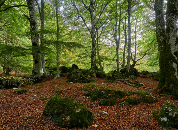 istock Sierra Urbasa in autumn, Navarra 1440571843