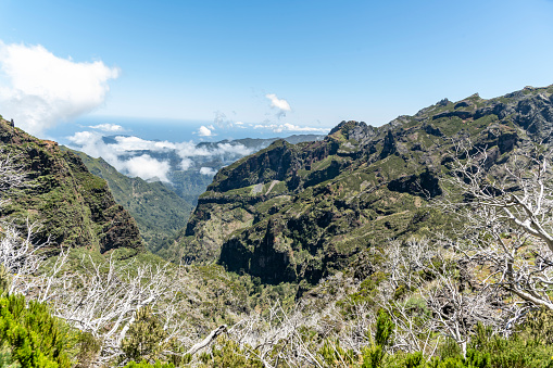 A beautiful day on the Madeira mountain trail.