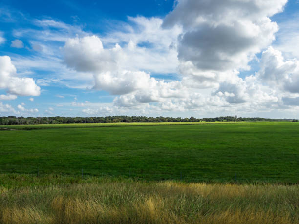istock Freshly mowed meadow with beautiful clouds 1440574940