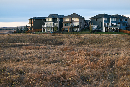 A row of larger detached homes for middle to upper-middle class families are seen on a grassy hill in late fall.