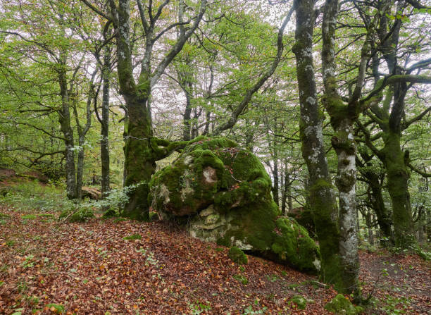istock Sierra Urbasa in autumn, Navarra 1440580005