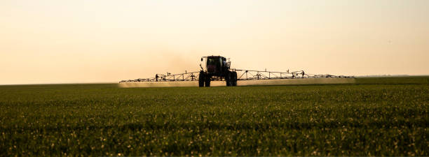 istock Special tractor for the treatment of fields from weeds and pests. 1440581204