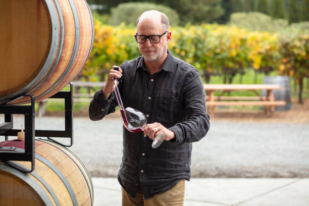 enologo che utilizza la pipetta per trasferire il vino nel bicchiere - winemaking vintner winery people foto e immagini stock