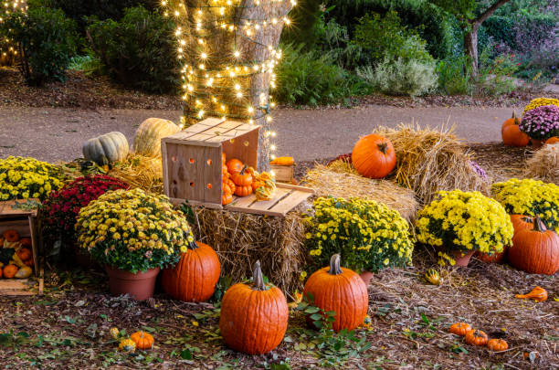 istock Multiple-colored Pumpkins including orange, yellow, white red and gray variations with chrysanthemums surround a lighted tree to create a vibrant Autumn display 1440591377