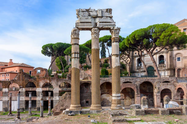 temple of venus genetrix columns in roman forum, rome, italy - forum romanum bildbanksfoton och bilder