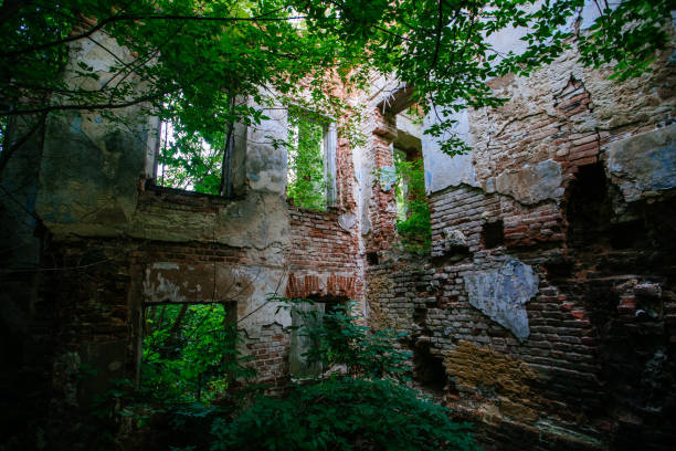 istock Old ruined overgrown abandoned mansion 1440595141
