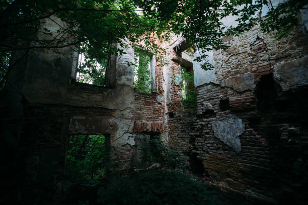 istock Old ruined overgrown abandoned mansion 1440595144