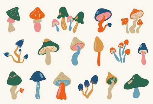 Set of psychedelic mushrooms, hallucinogenic forest plants. Cartoon fairy forest alien mushrooms, hippie style, flat design. Collection of psychedelic mushrooms.