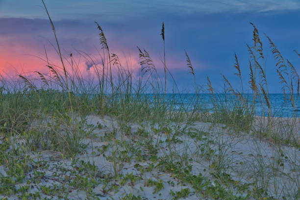 istock Natural Sand Dune Sunset on St. George Island 1440597542