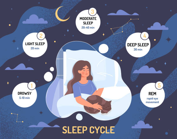 koncepcja cykli snu - deep sleep stock illustrations