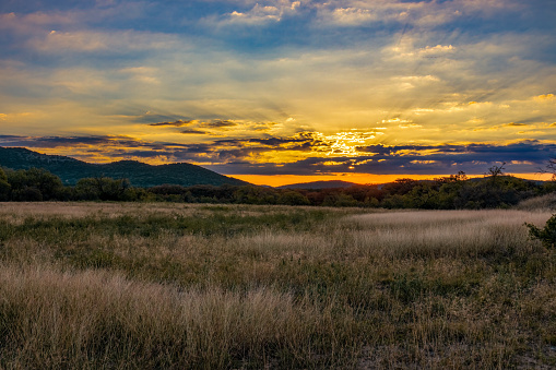 Sunrise coming over mountains behind a field of tall grass