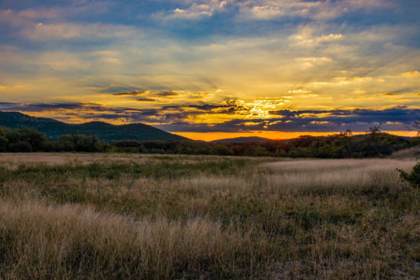 Sunrise coming over mountains behind a field of tall grass Sunrise coming over mountains behind a field of tall grass taken on the last day before the time changed in the Texas Hill Country national grassland stock pictures, royalty-free photos & images